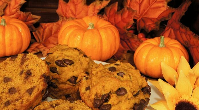 Muffins au potiron et chocolat