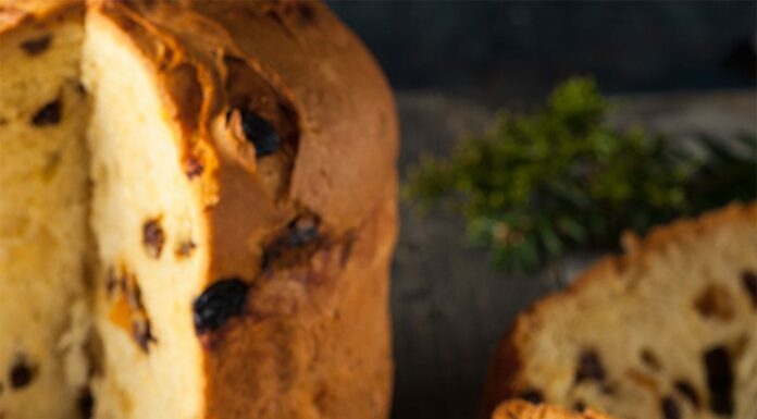 Panettone aux raisins secs et pépites de chocolat avec Thermomix