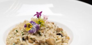 Risotto à la crème de champignons et parmesan