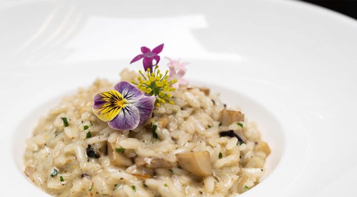 Risotto à la crème de champignons et parmesan